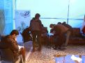 گزارش تصویری   از بازدیدگنندگان سومین روز   نمایشگاه دستاورد های هسته ای